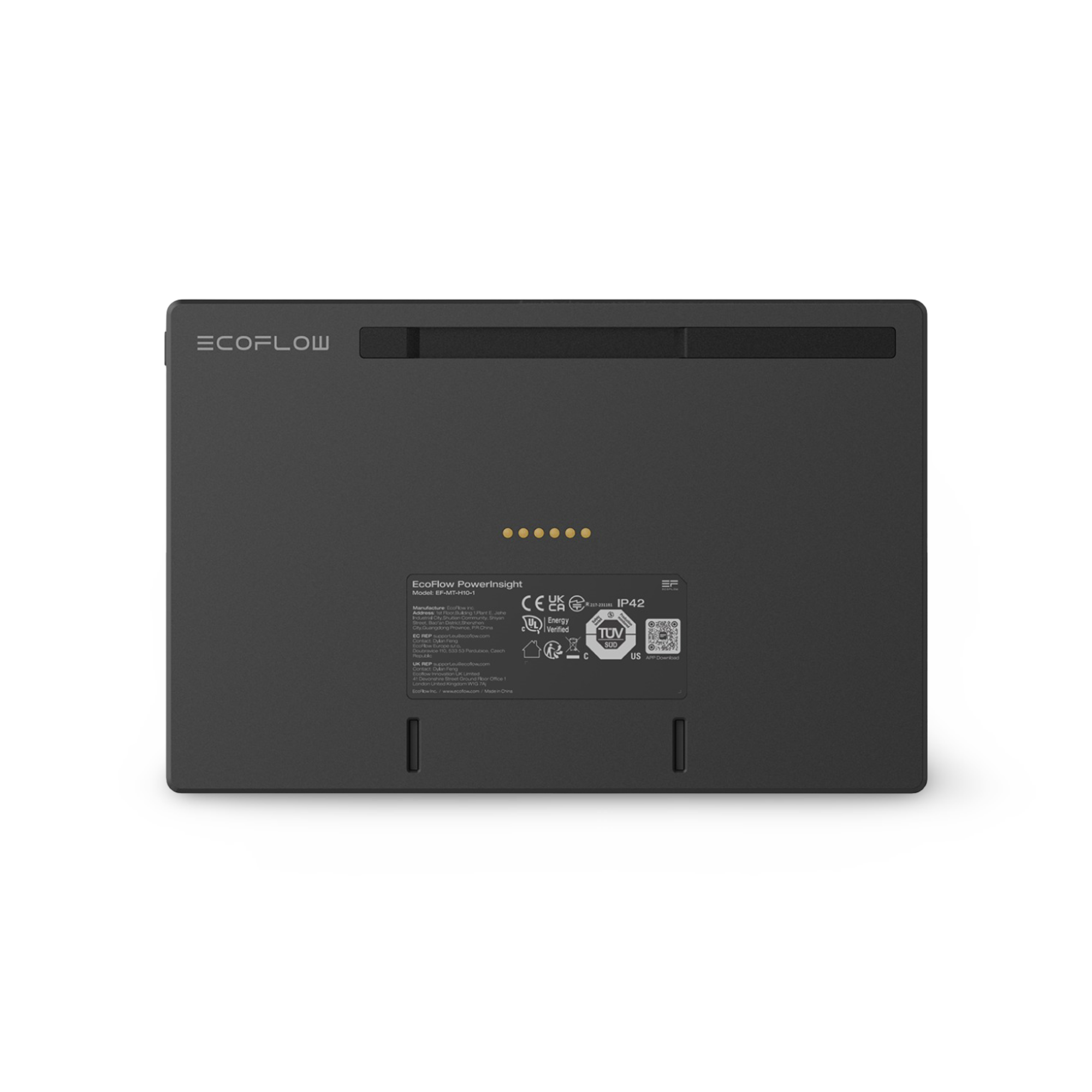 EcoFlow PowerInsight 2