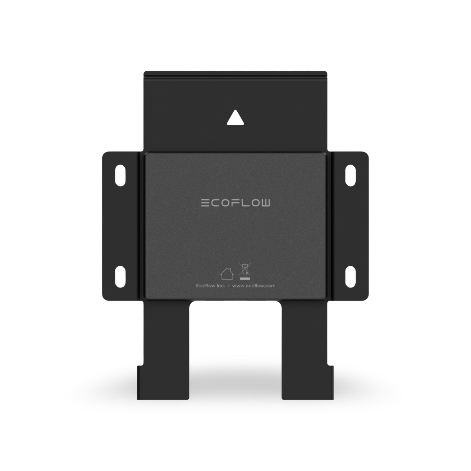 EcoFlow PowerInsight 2