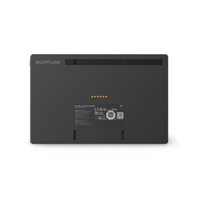 EcoFlow PowerInsight 2