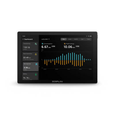 EcoFlow PowerInsight 2